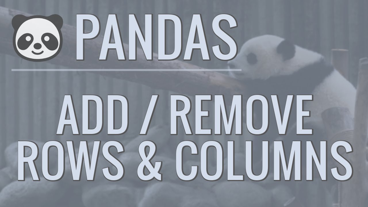 Python Pandas Tutorial: Add/Remove Rows and Columns From DataFrames