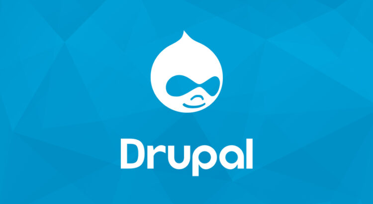 Must-haves of Successful Drupal Site