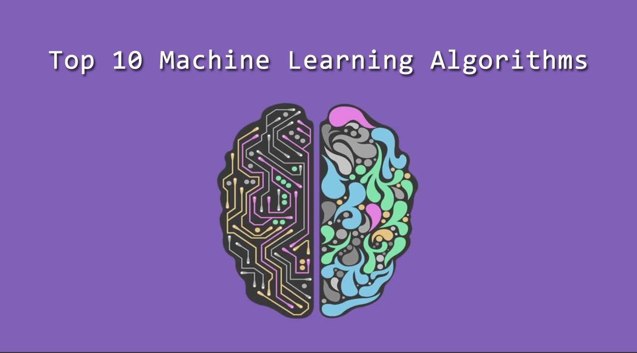 Top 10 Machine Learning Algorithms You Need to Know