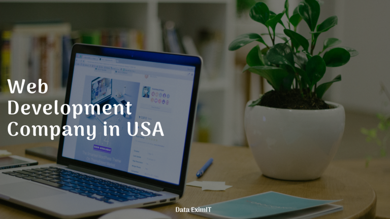 Website Development Company in USA