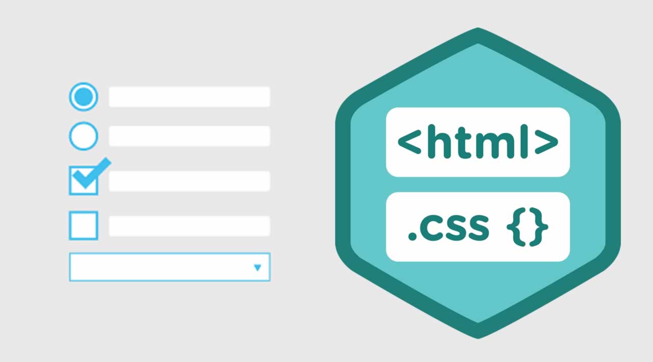 How to use JSF Checkbox with HTML and CSS
