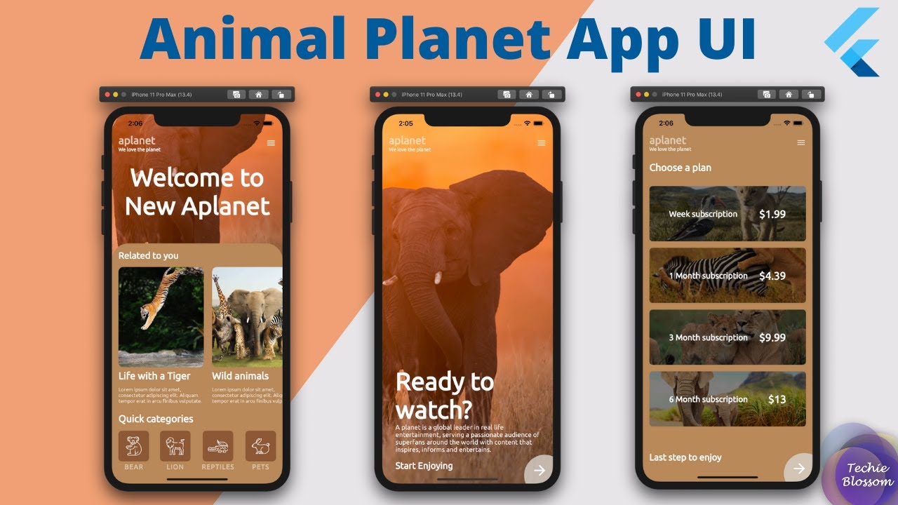 Creating an Animal Planet App UI