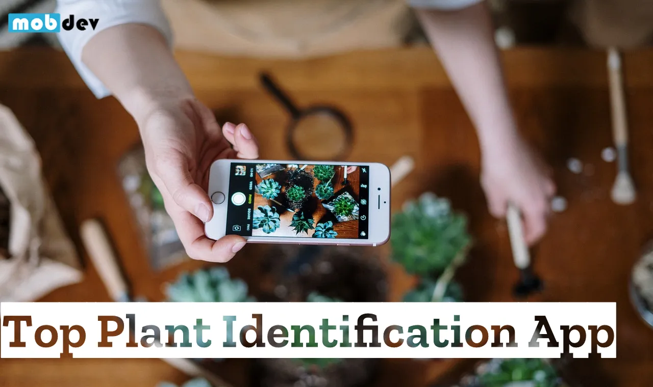 Top Plant Identification App - Top Picks for 2021