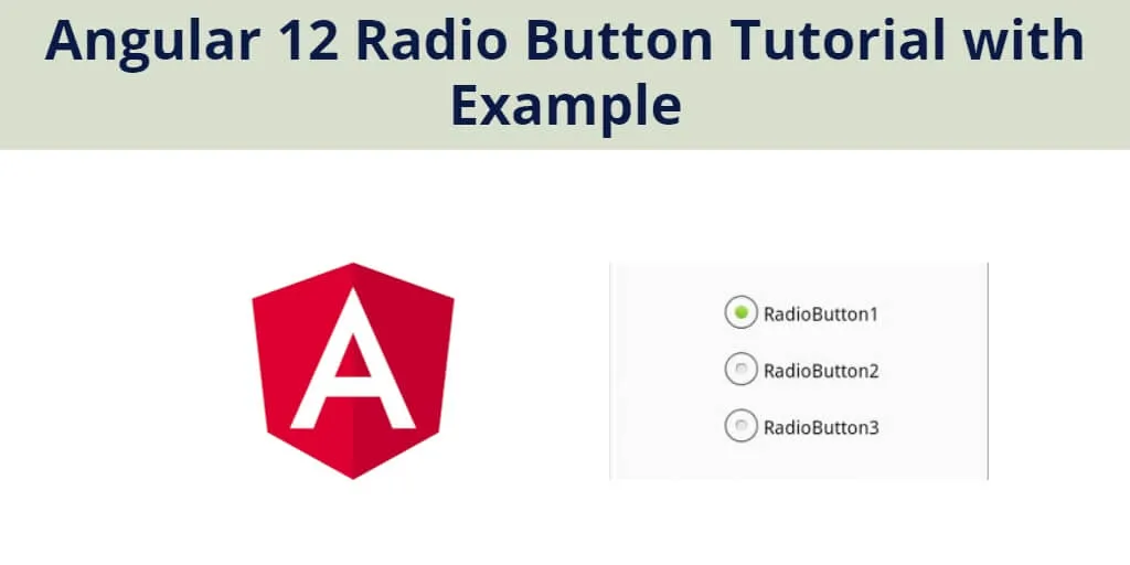 Angular 12 Radio Button Tutorial With Example - Lara Tutorials