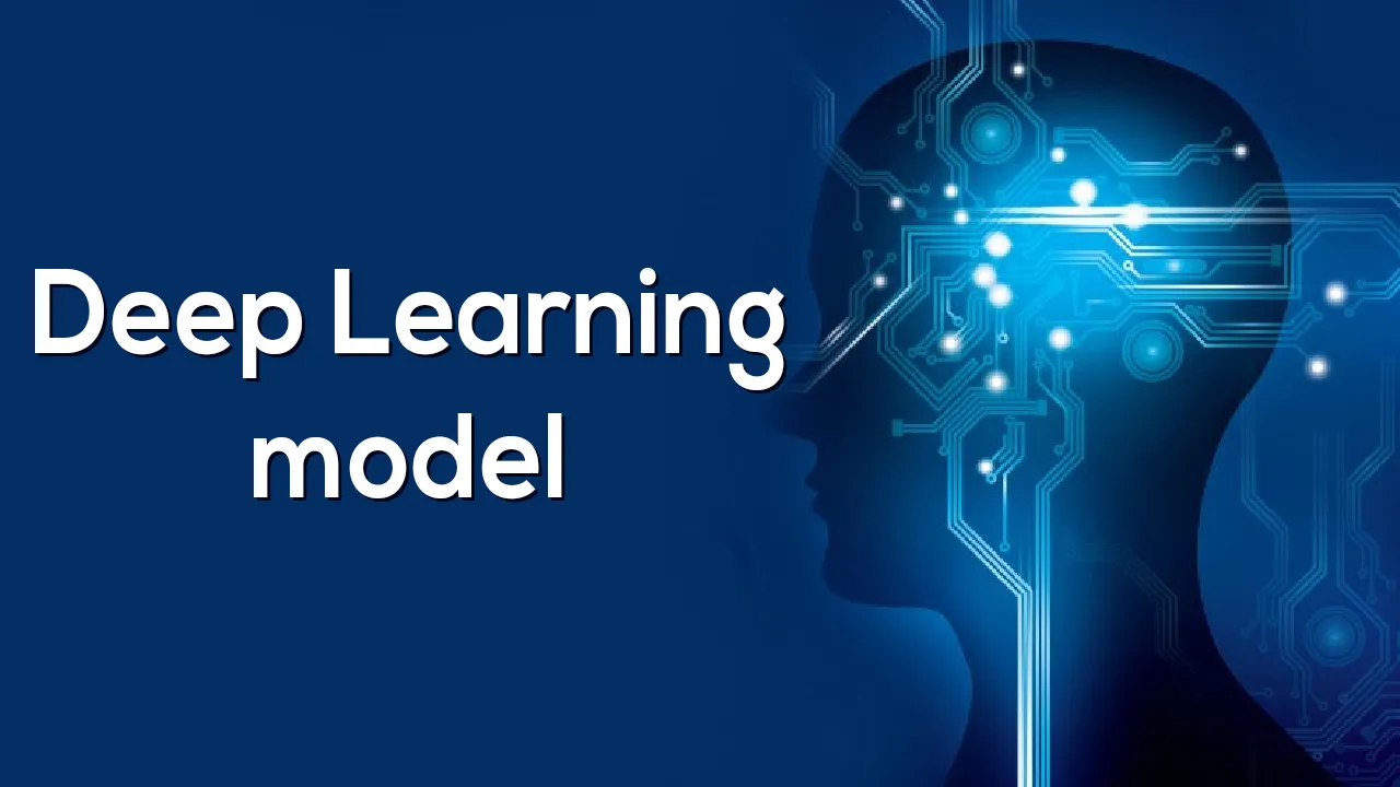 Fully Understand The Deep Learning Model