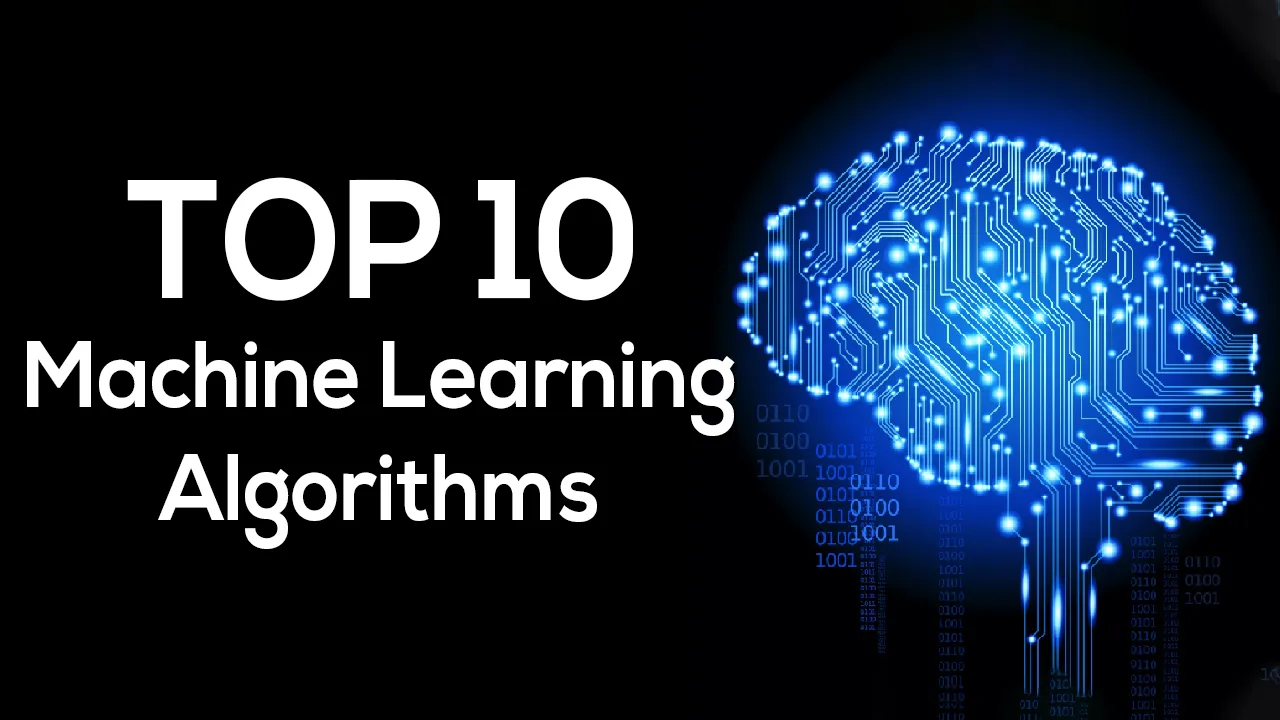 Fully Understand The Top 10 Machine Learning Algorithms