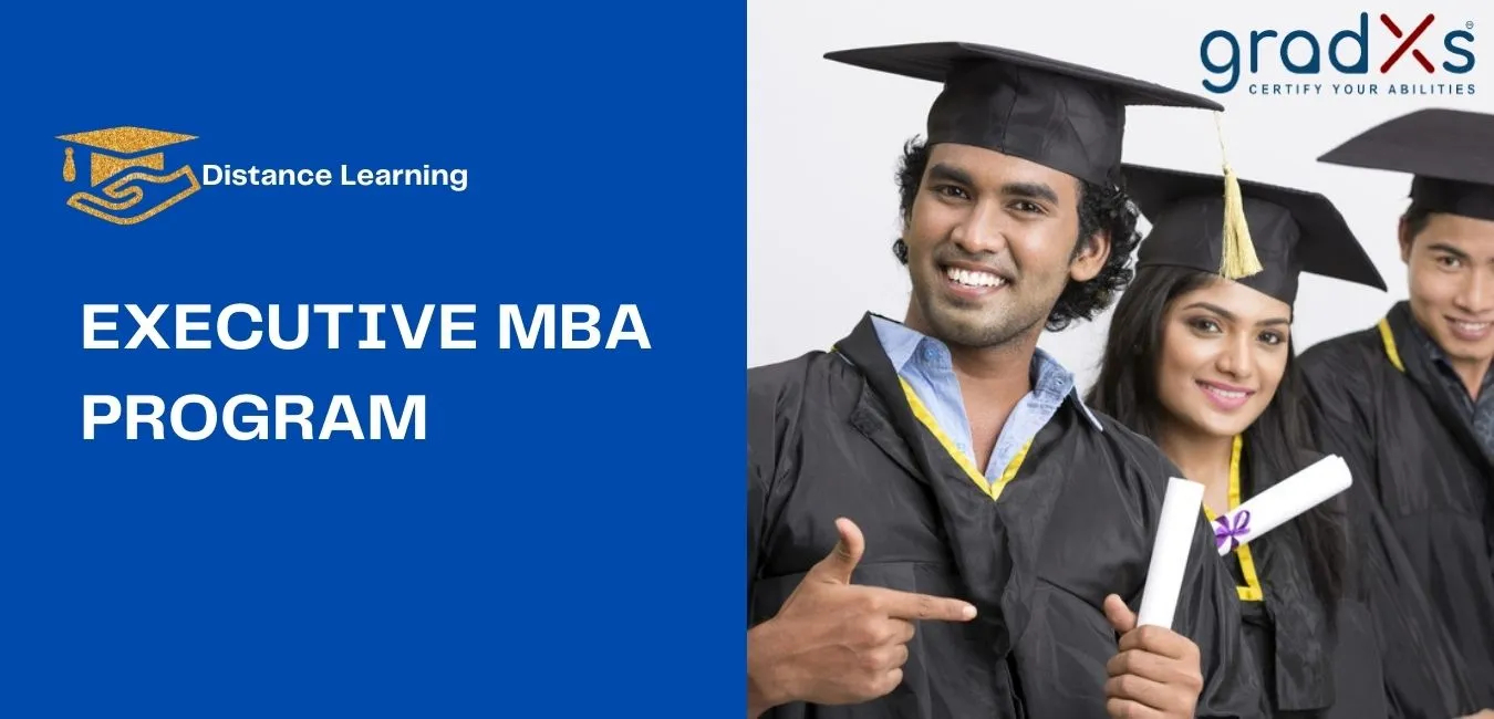 Executive MBA Program in India