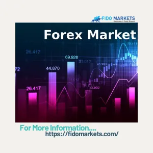 Forex Trading Consultant in Chennai | FIDO MARKET