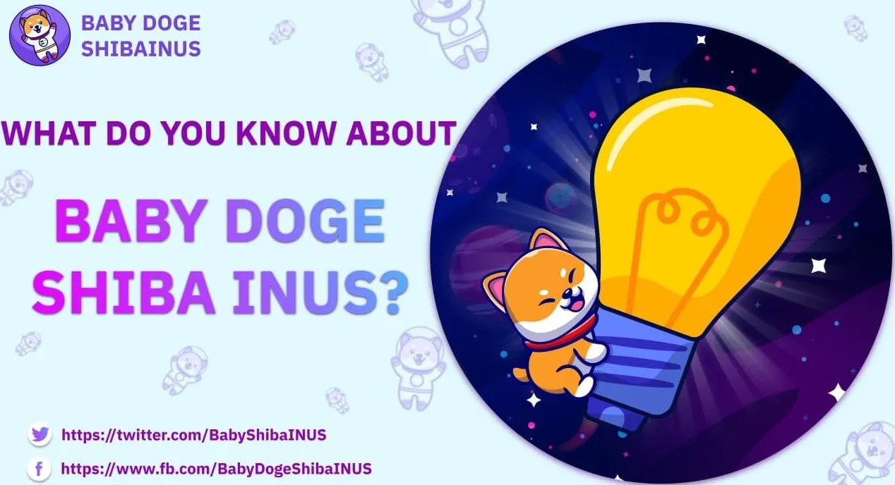 What is Baby Doge Shiba Inus?