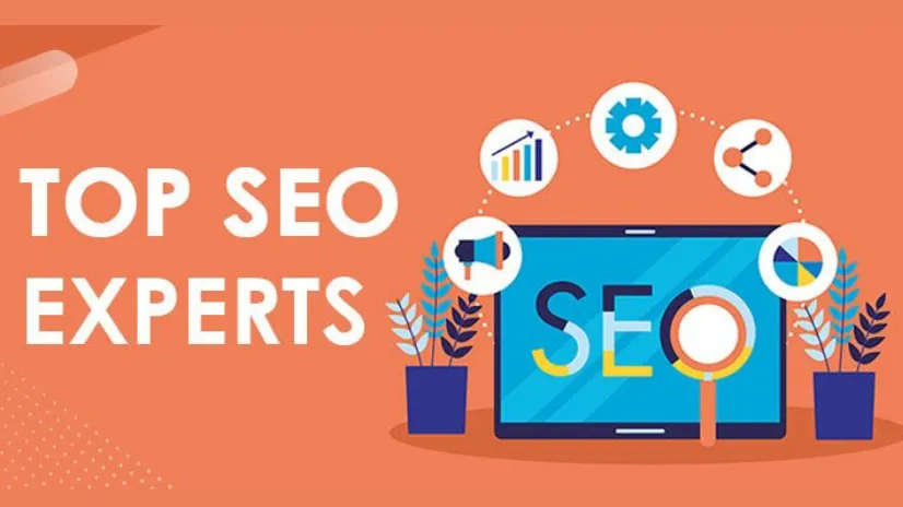 Hire Best SEO Expert | Best SEO Marketing Consultant 2021