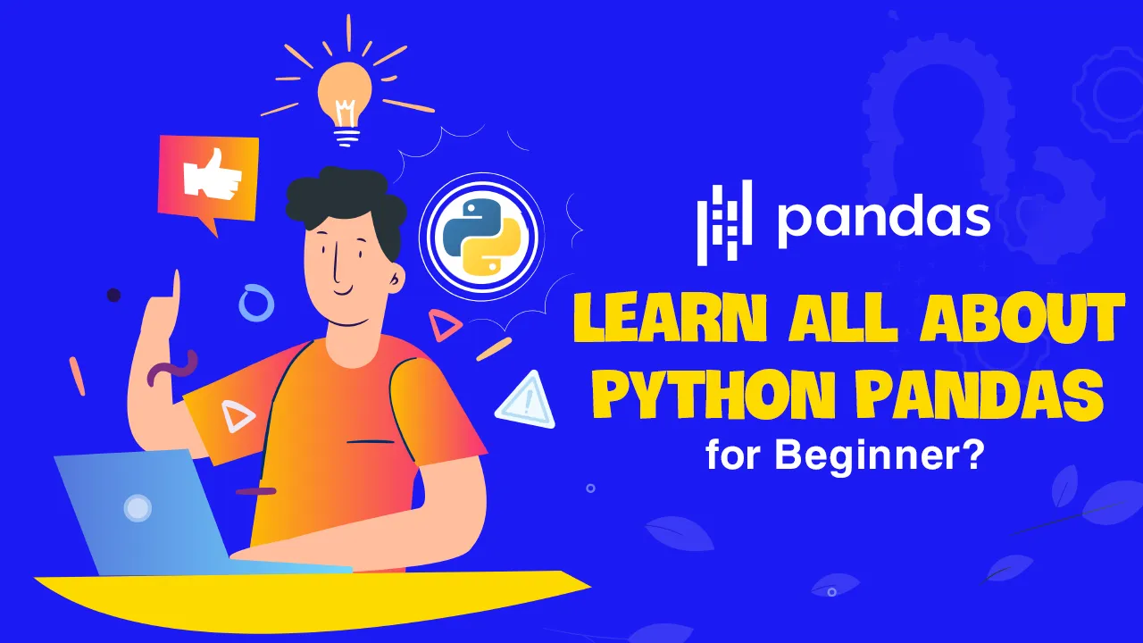 Learn All About Python Pandas For Beginner