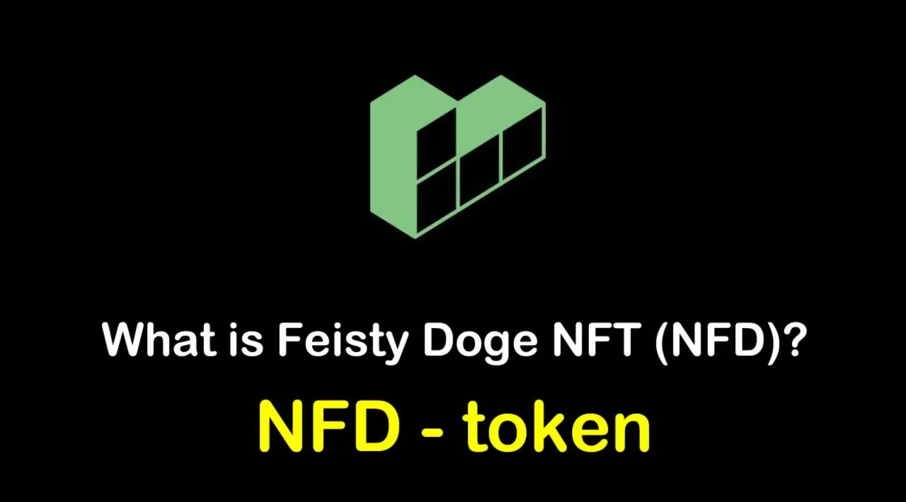 What is Feisty Doge NFT (NFD) | What is NFD token