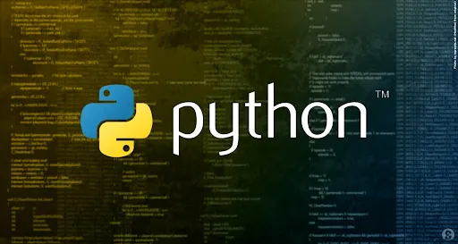 What does a python developer do?