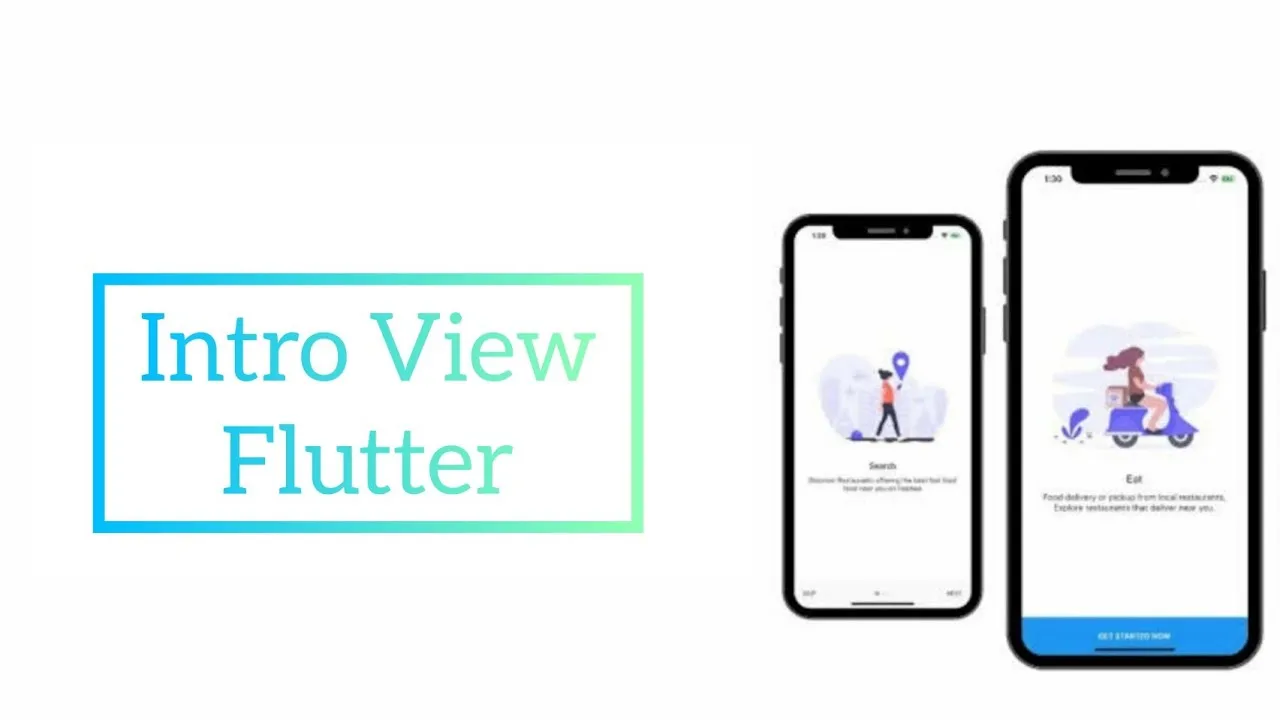 How to See The intro In Flutter