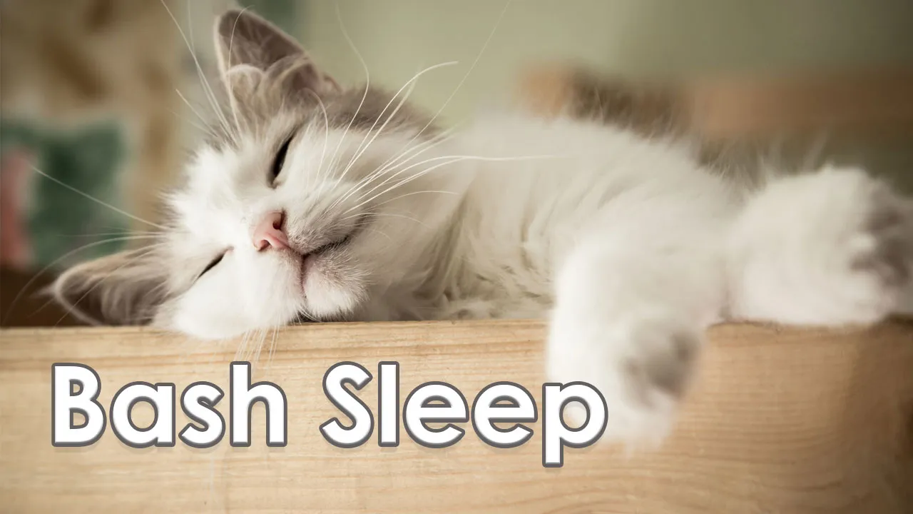 Bash Sleep – シェルスクリプトをN秒待機させる