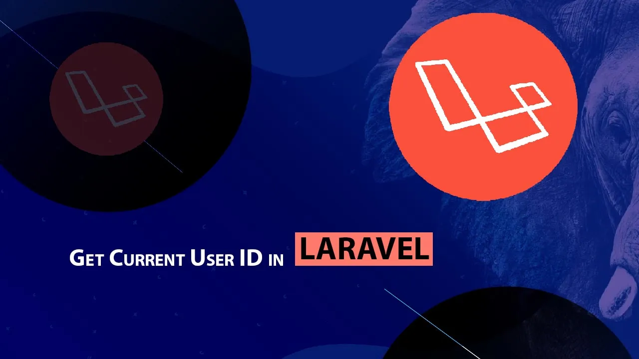 Get Current User ID in Laravel