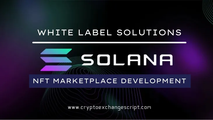 Build NFT Marketplace Platform on Solana Blockchain Network -Coinjoker