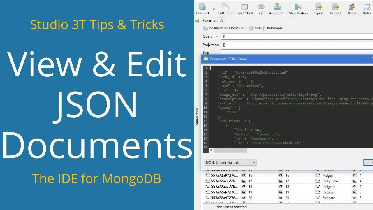 How to View & Edit JSON Document