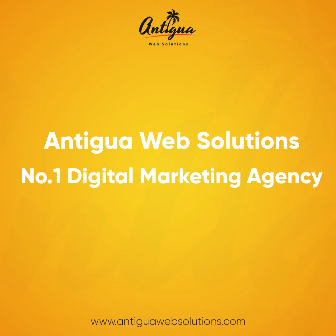 SEO Services In Newyork By Antigua Web Solutions 
