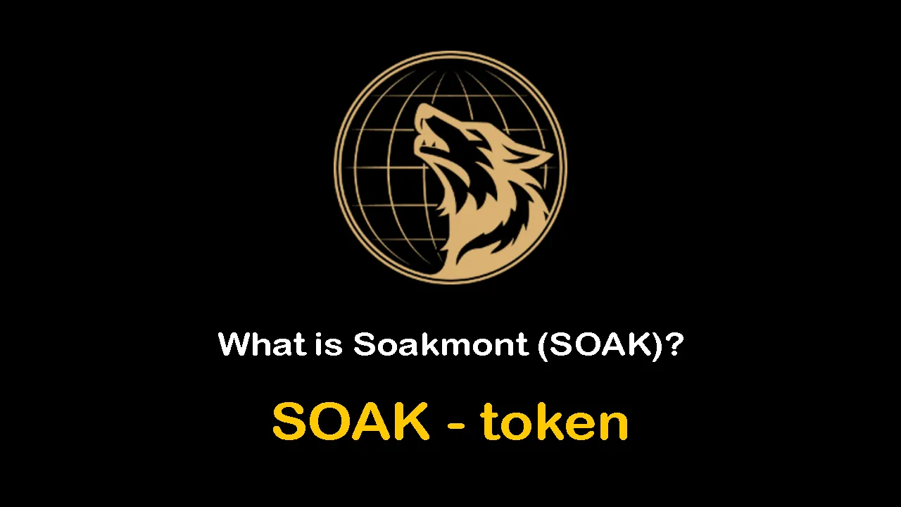 What is Soakmont (SOAK) | What is Soakmont token | What is SOAK token