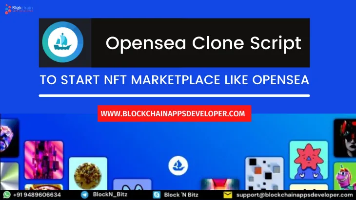 OpenSea Clone Script - Forecast, ROI, and Growth 