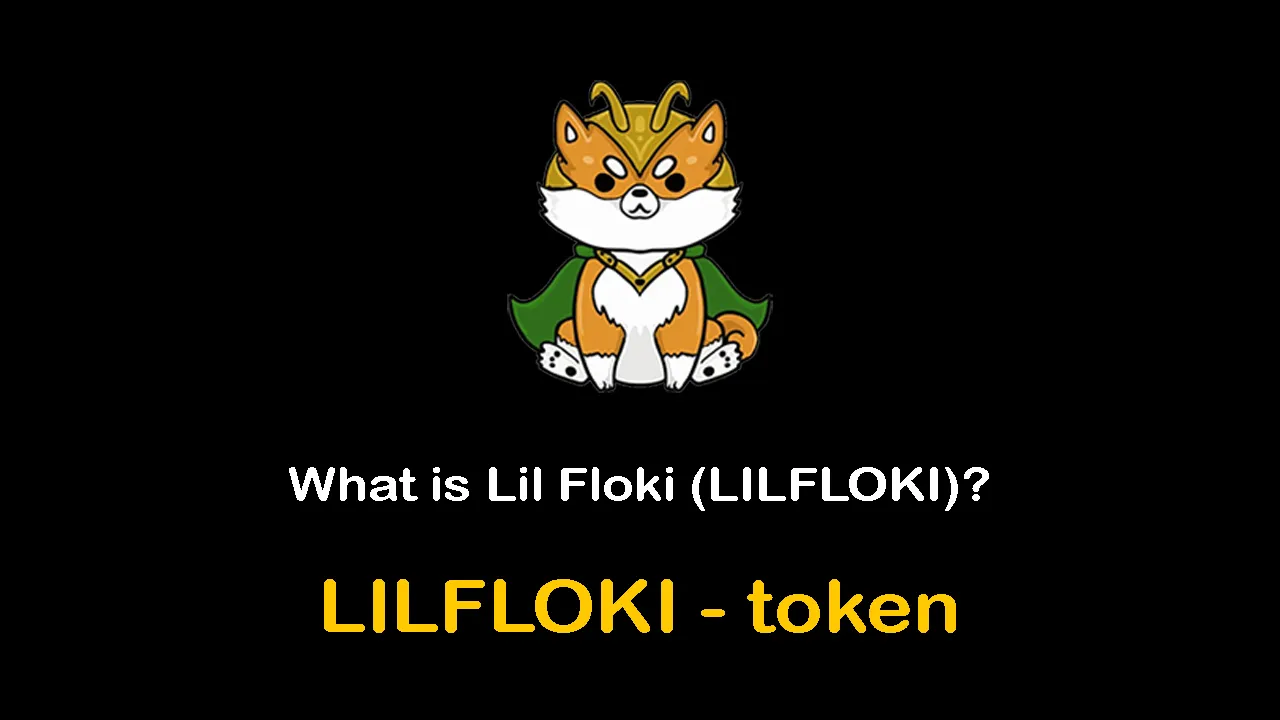 What is Lil Floki (LILFLOKI) | What is LILFLOKI token