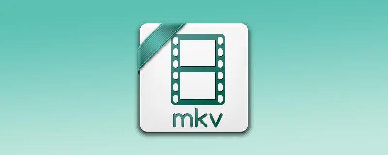 How to Play MKV Files on Mac: Best Methods (2021)