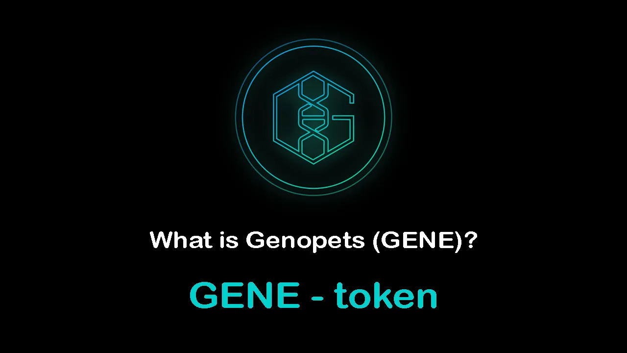 Portal about the direction of Genopets authoritative article