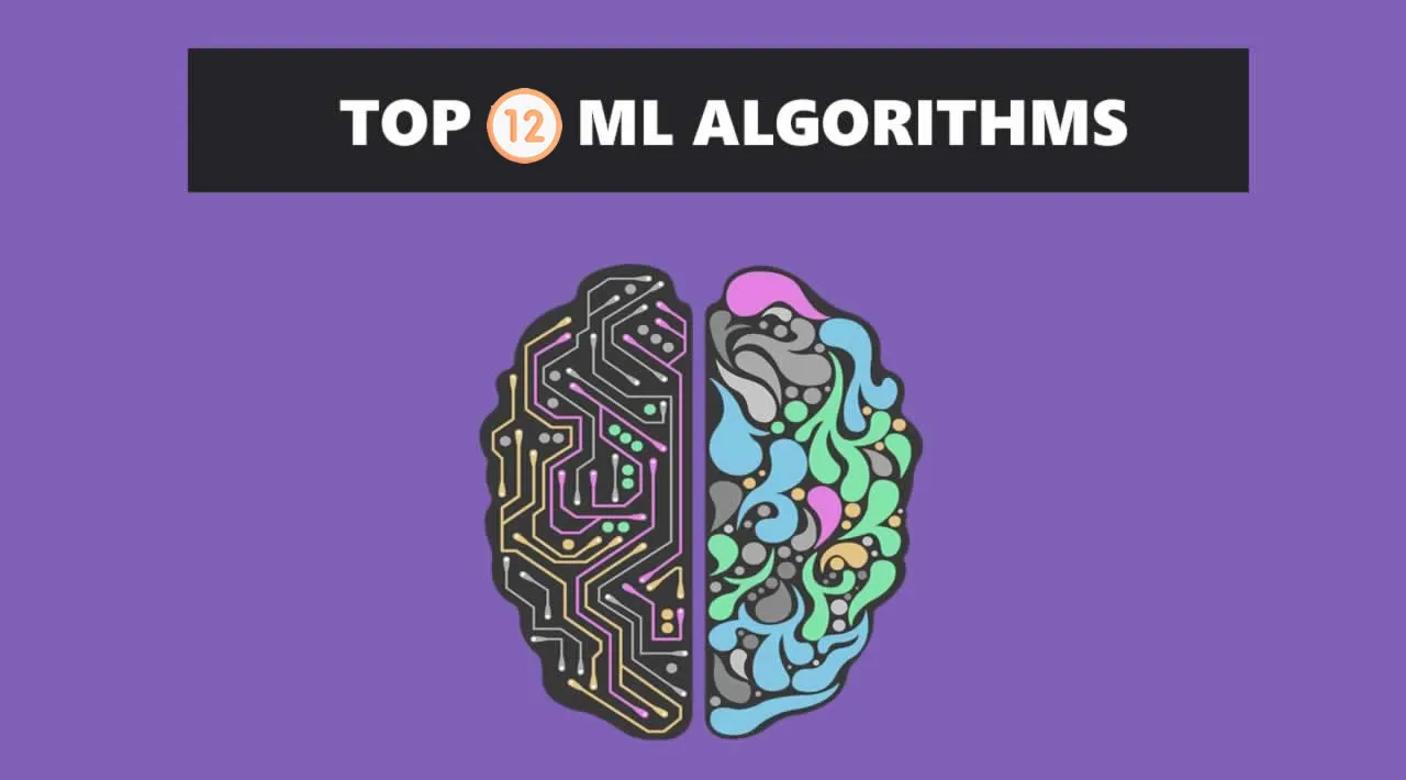 Top 12 Machine Learning Algorithms You Should Know to Become a Data Scientist
