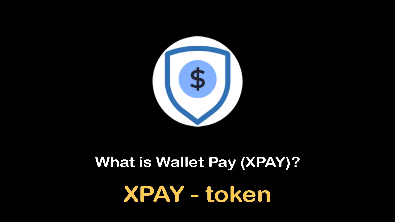 What is Wallet Pay (XPAY) | What is Wallet Pay token | XPAY token