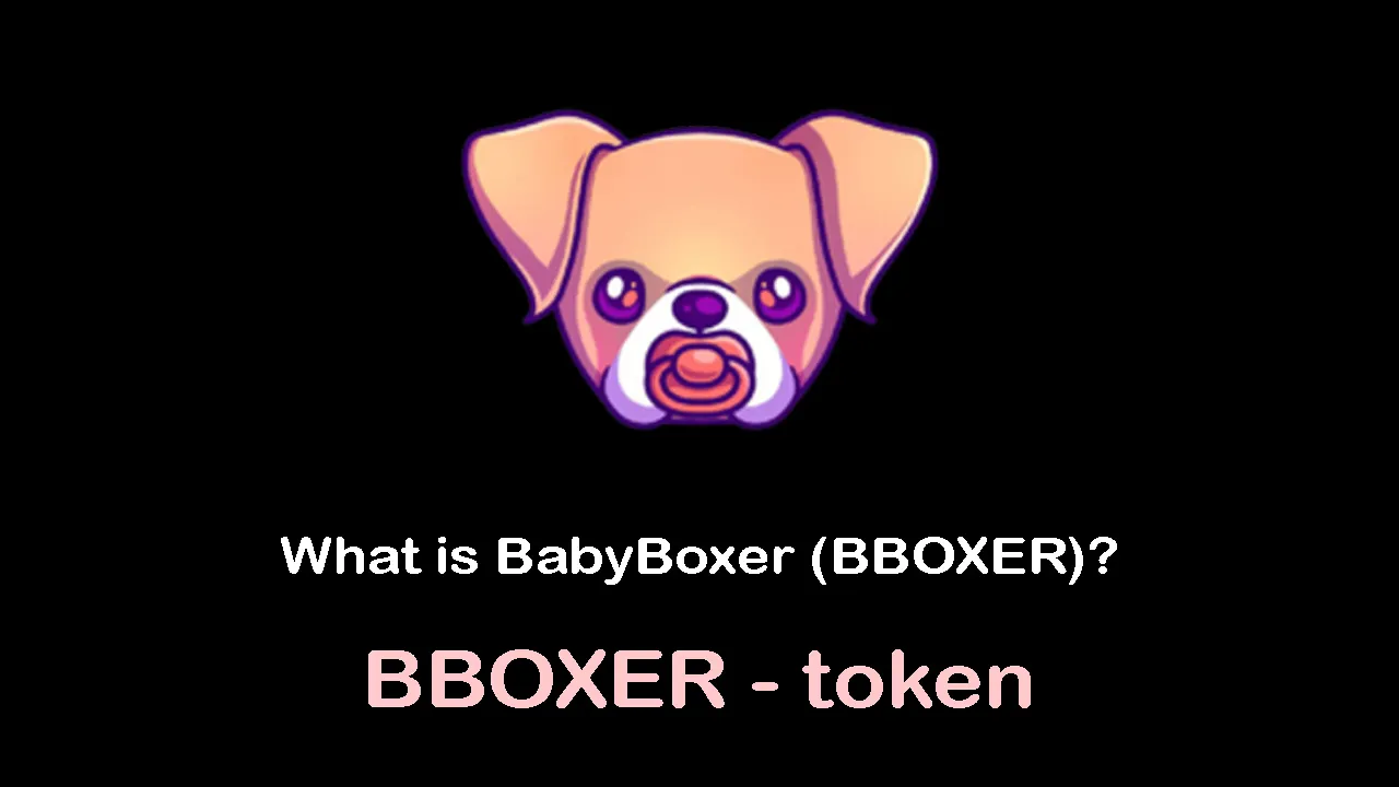 What is BabyBoxer (BBOXER) | What is BBOXER token