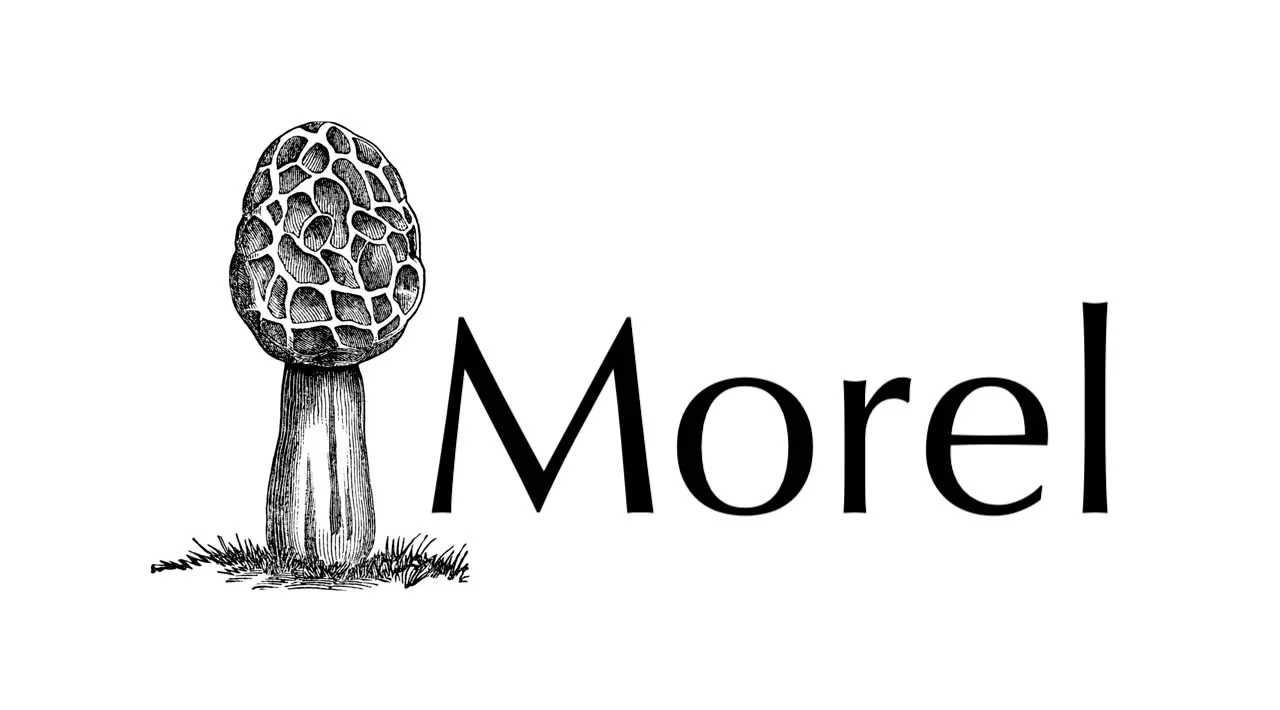 Morel is an implementation of Standard Machine Learning on the JVM