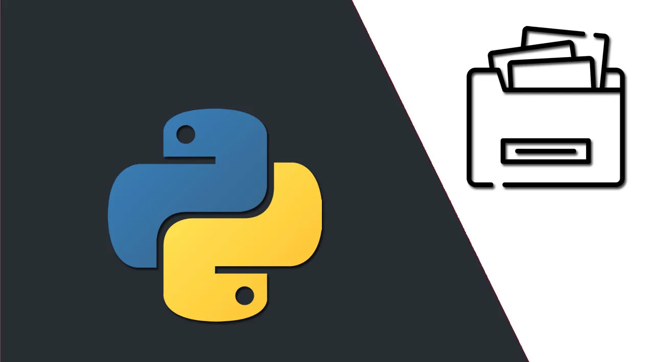 How to Organize Files by Extension in Python