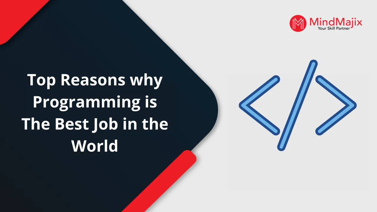 Top Reasons why Programming is The Best Job in the World