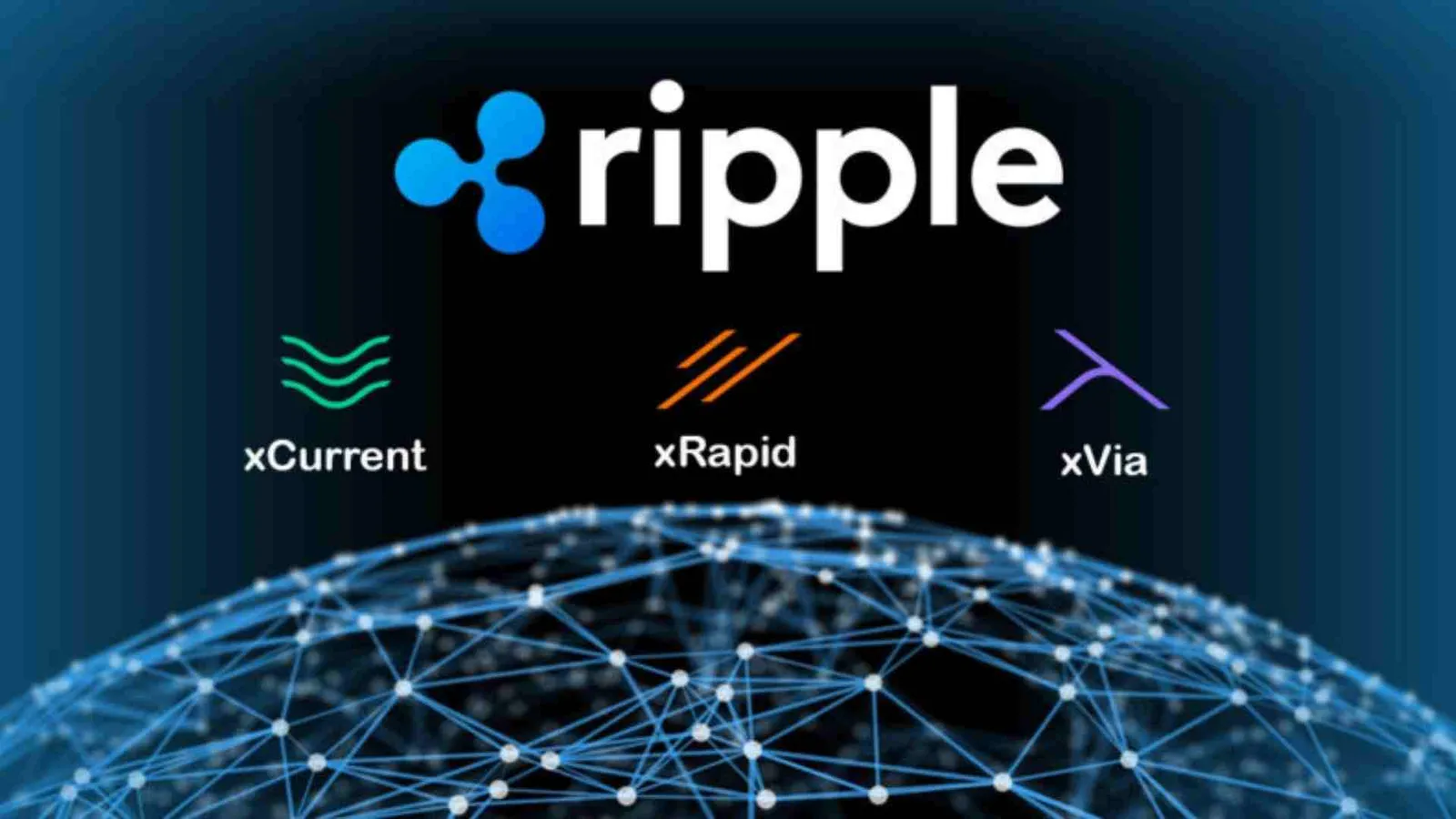 Rippex Service Number & Live Chat Support