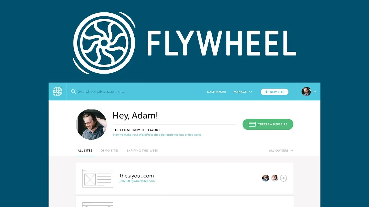 Flywheel Managed WordPress Hosting 