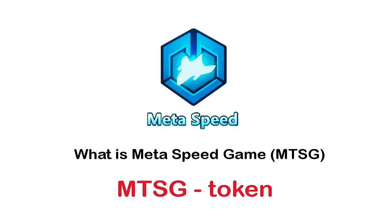 What is Meta Speed Game (MTSG) | What is MTSG token