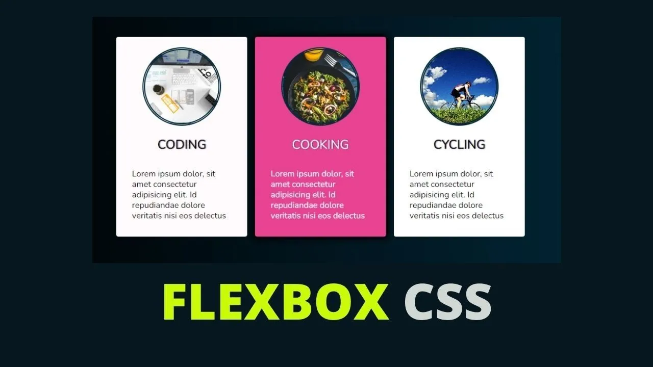 Create Beautiful and Responsive Cards with Flexbox CSS  