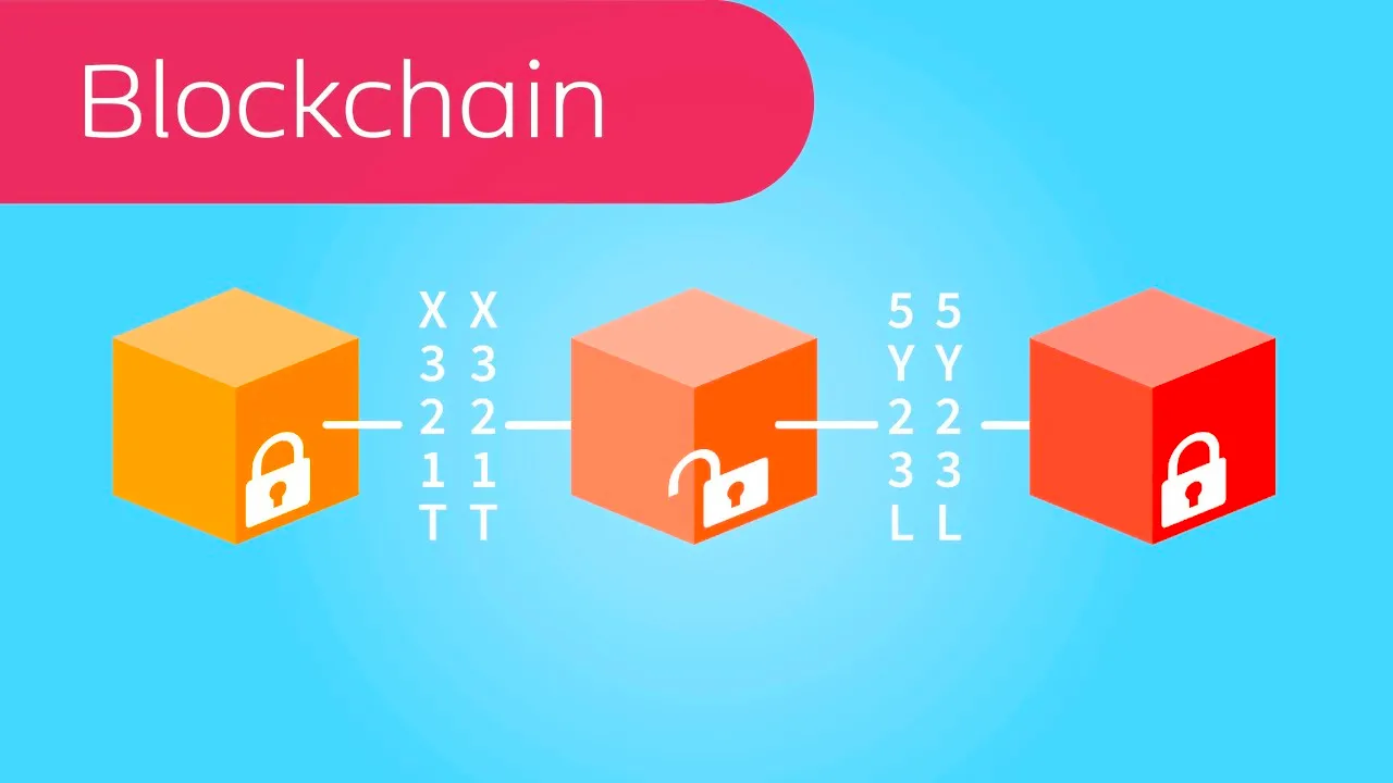 Blockchain Size | How Does It Affect Blockchain-Based Projects?