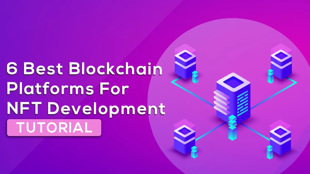 6 Best Blockchain Platforms for NFT Development For Beginners