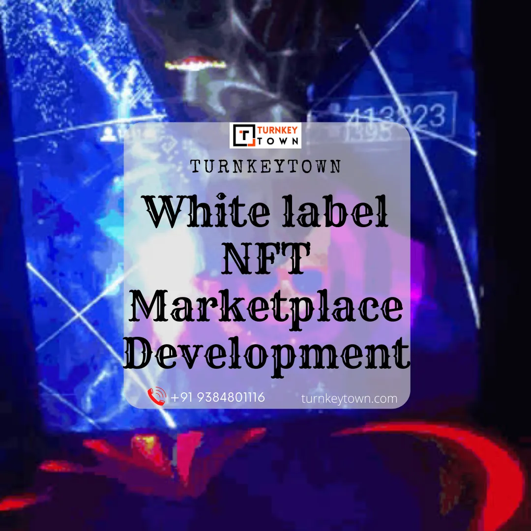 Elevate Your White-label NFT Marketplace Platform In The Leading Marke