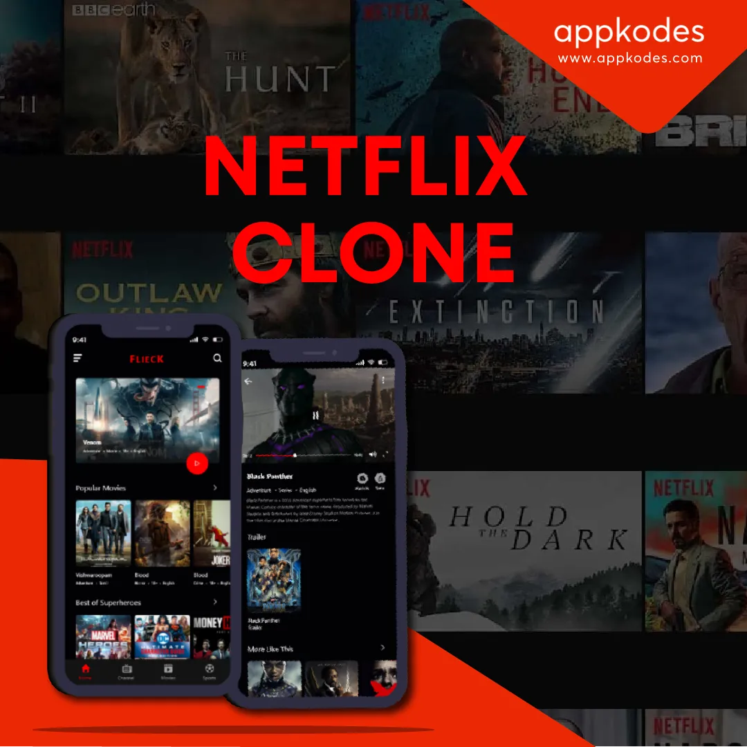 Succeed in building a visually stunning streaming app like netflix