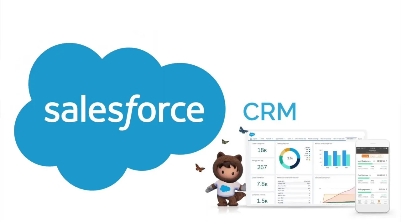 Introduction to Salesforce CRM