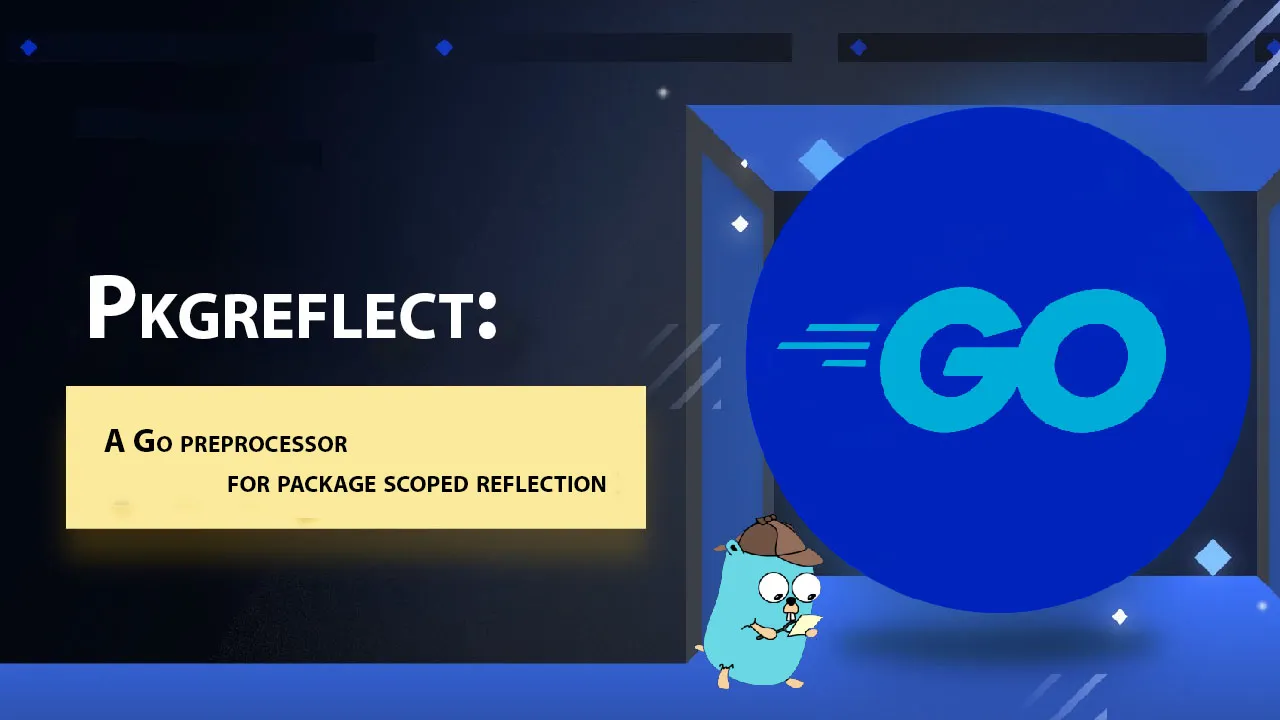 Pkgreflect: A Go Preprocessor for Package Scoped Reflection