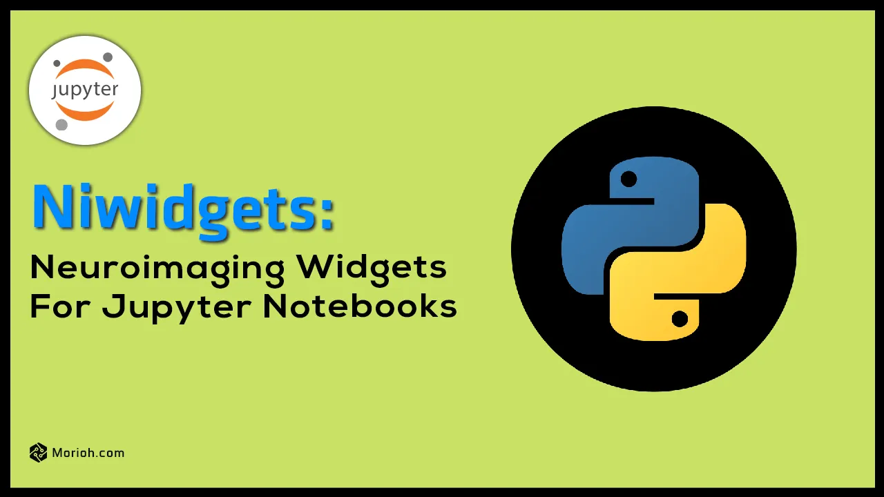 Niwidgets: Neuroimaging Widgets for Jupyter Notebooks