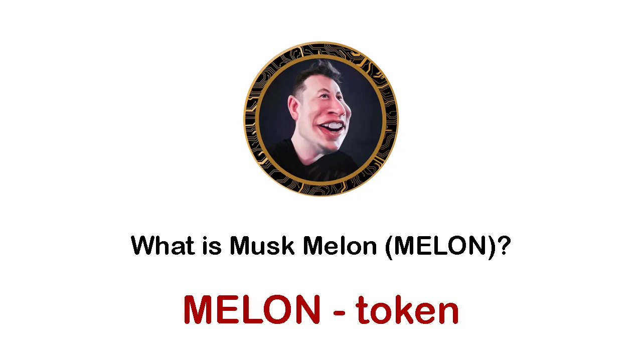 What is Musk Melon (MELON) | What is MELON token 