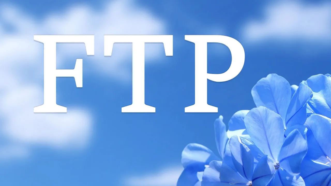  Protocolo De Transferencia De Archivos Y Significado Del Servidor FTP