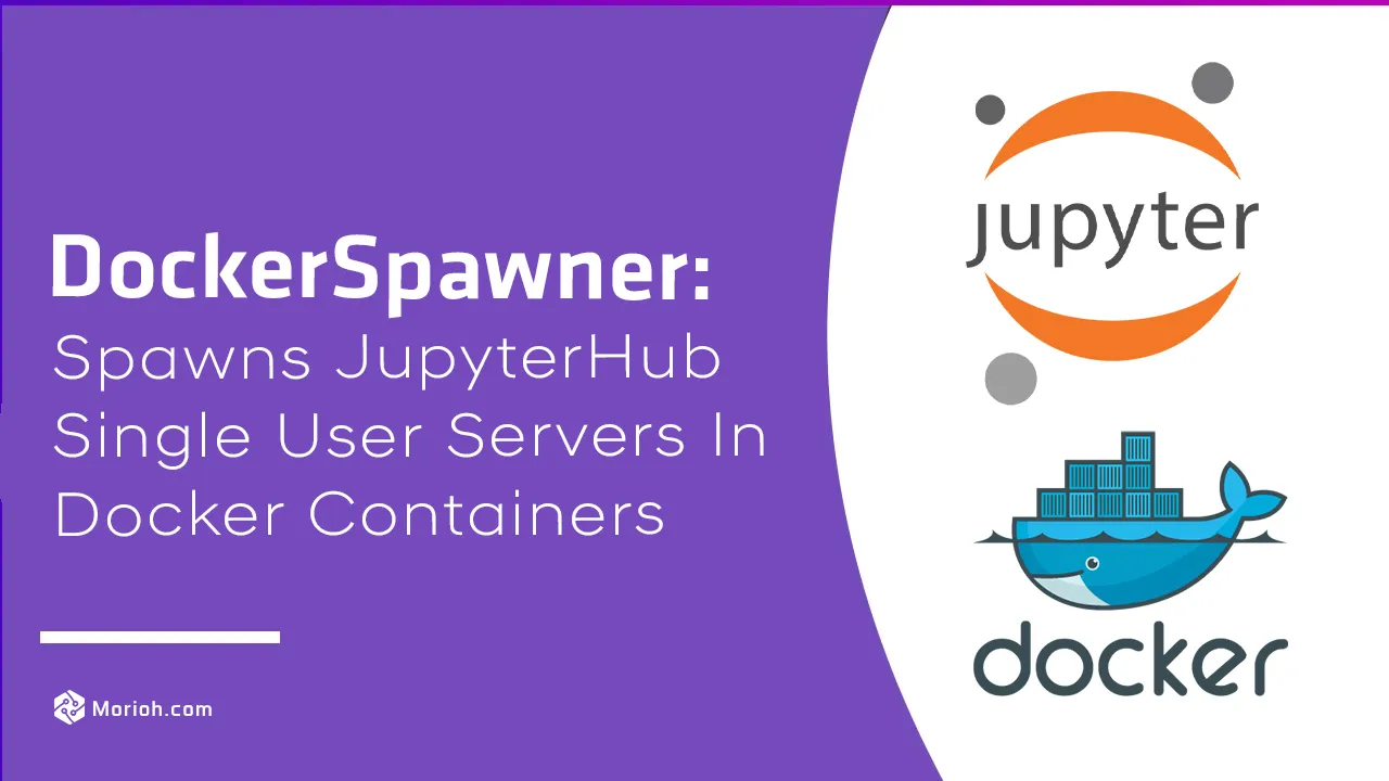 Spawns JupyterHub Single User Servers in Docker Containers