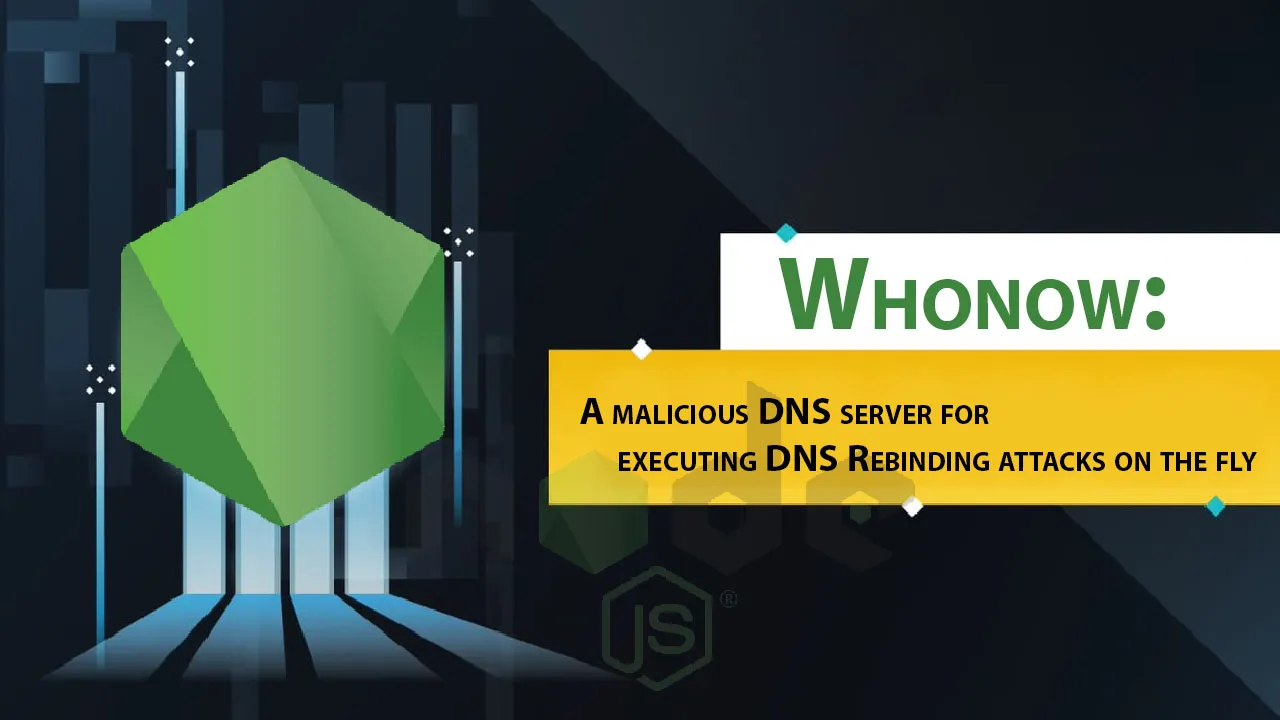 A Malicious DNS Server for Executing DNS Rebinding Attacks on The Fly