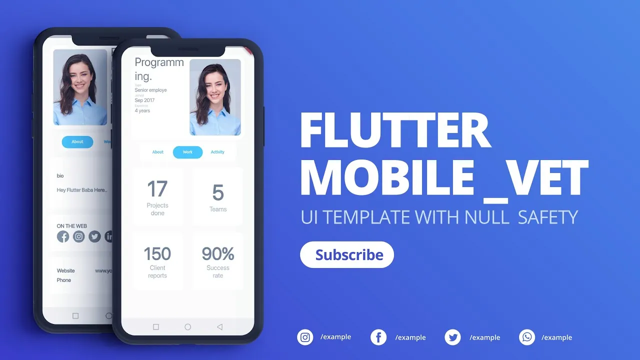 How to Build Mobile Vet App UI using Flutter